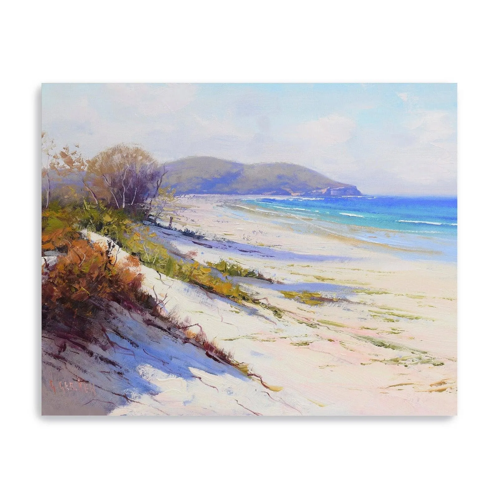 Port Stephans Beach Sands Canvas Giclee Wall Art