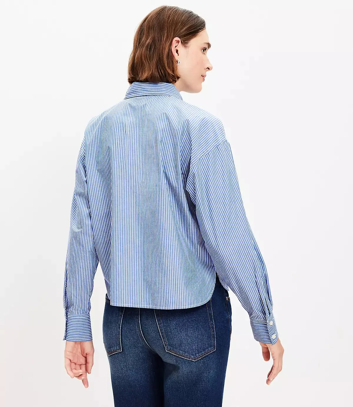 Sparkle Striped Poplin Modern Shirt