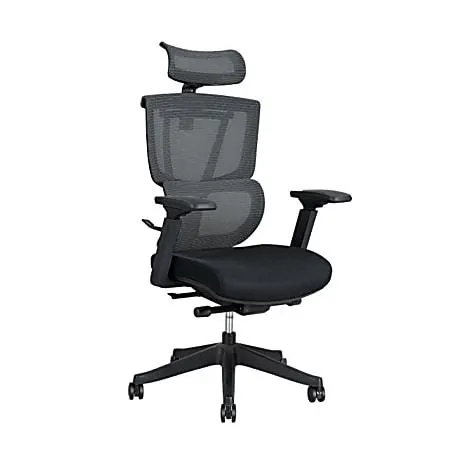 FlexiSpot C7 Ergonomic Mesh High-Back Office Chair, Black
