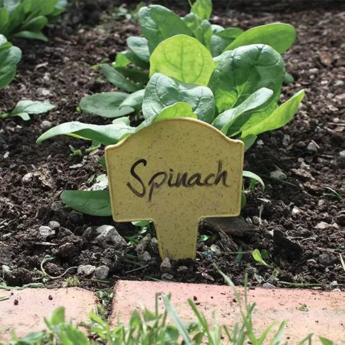 Bamboo Plant Markers - 3 Pack