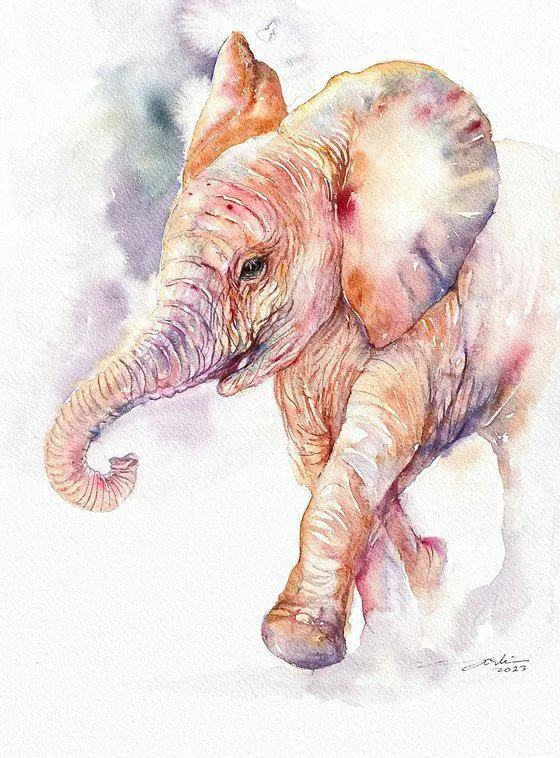 Zippy Zac _ Baby Elephant (2023)