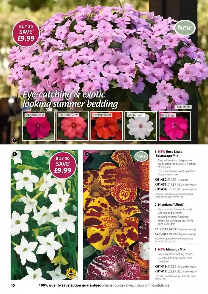 The Spring Catalogue from 20 March to 31 May 2025 - Catalogue Page 40