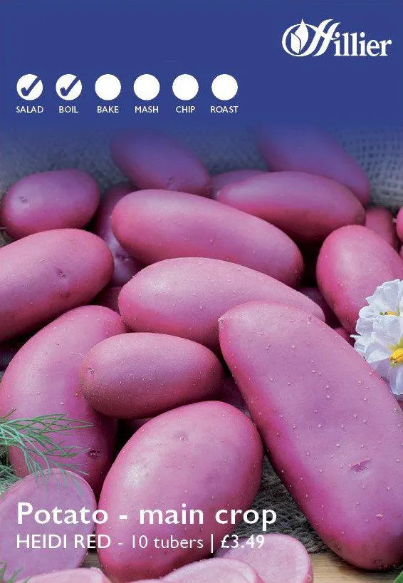 Heidi Red Seed Potatoes