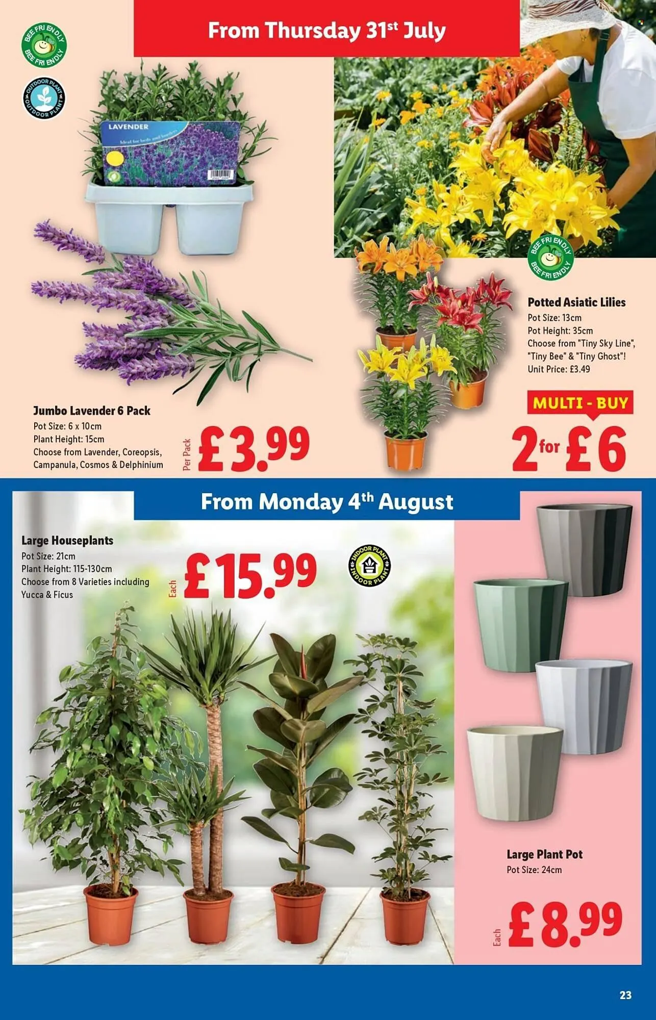 Lidl leaflet from 31 July to 6 August 2025 - Catalogue Page 23