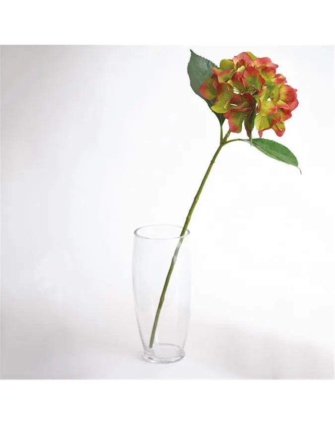 Green Hydrangea Stem