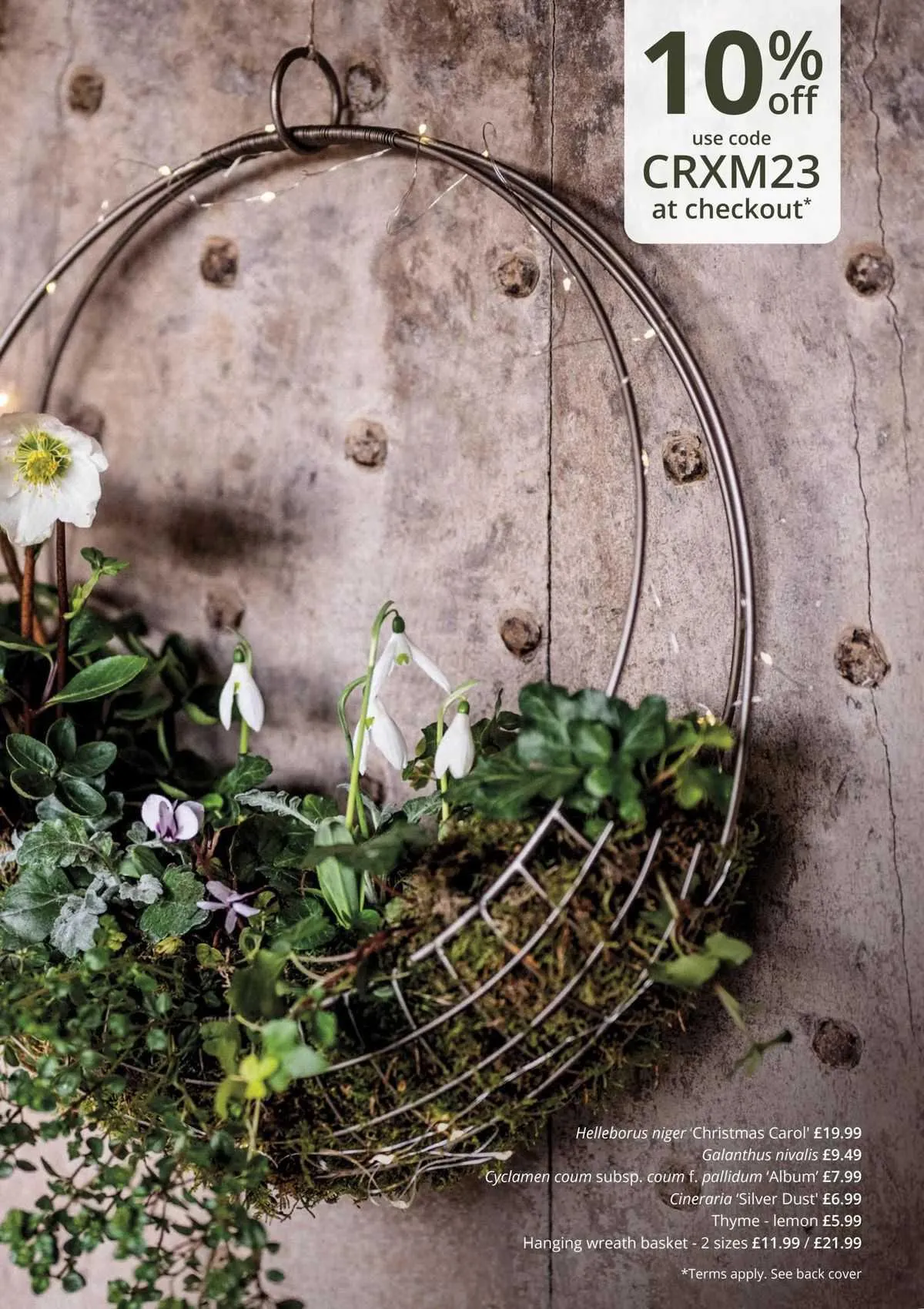 Crocus Catalog from 2 November to 25 December 2023 - Catalogue Page 2