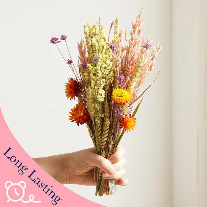 The Mini Dried Summer Haze