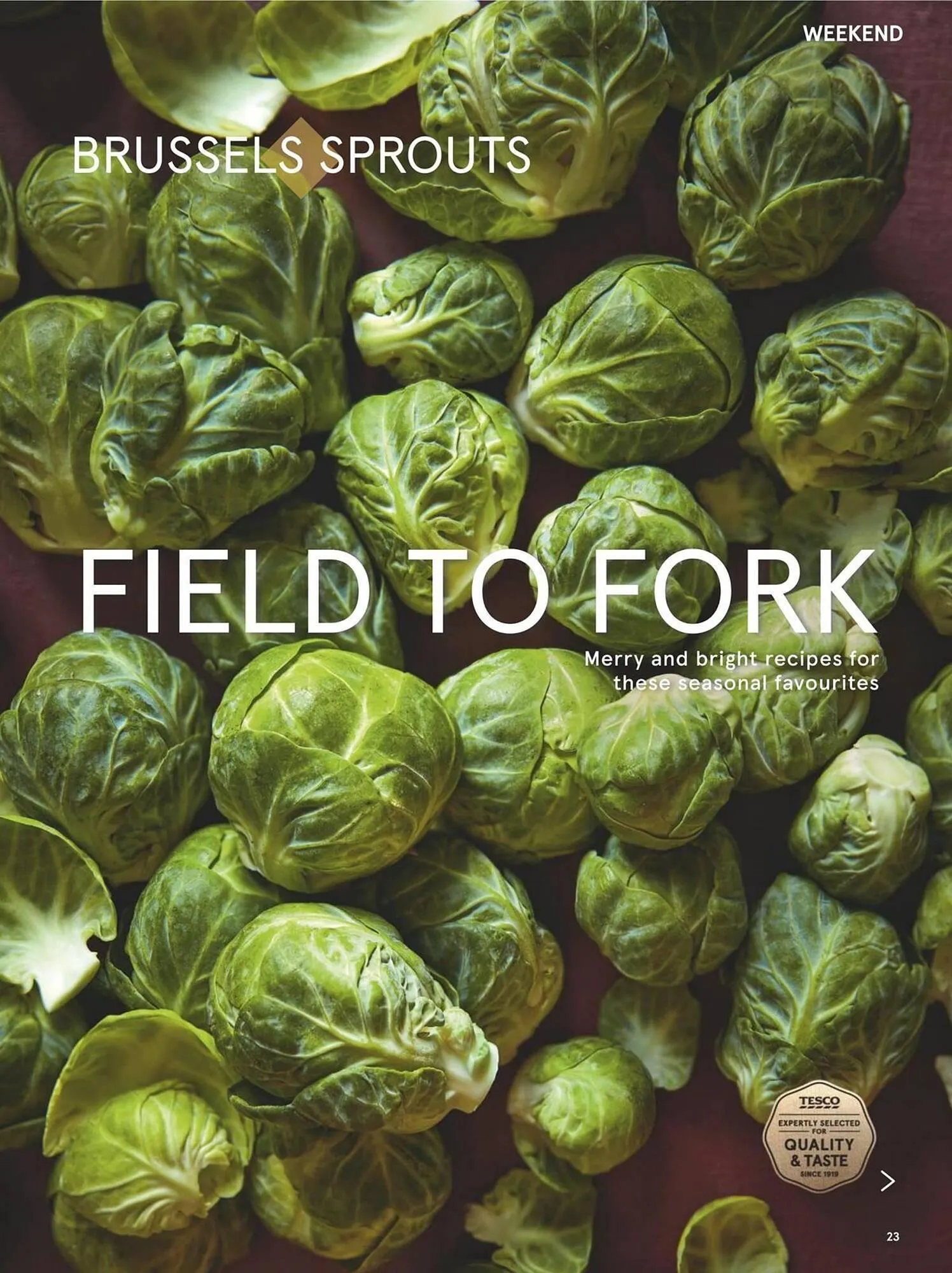 Tesco leaflet from 1 December to 31 December 2025 - Catalogue Page 23