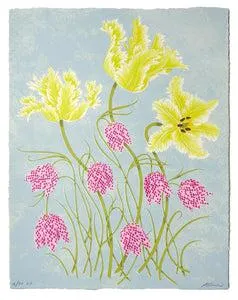 Tulips & Fritillaries
