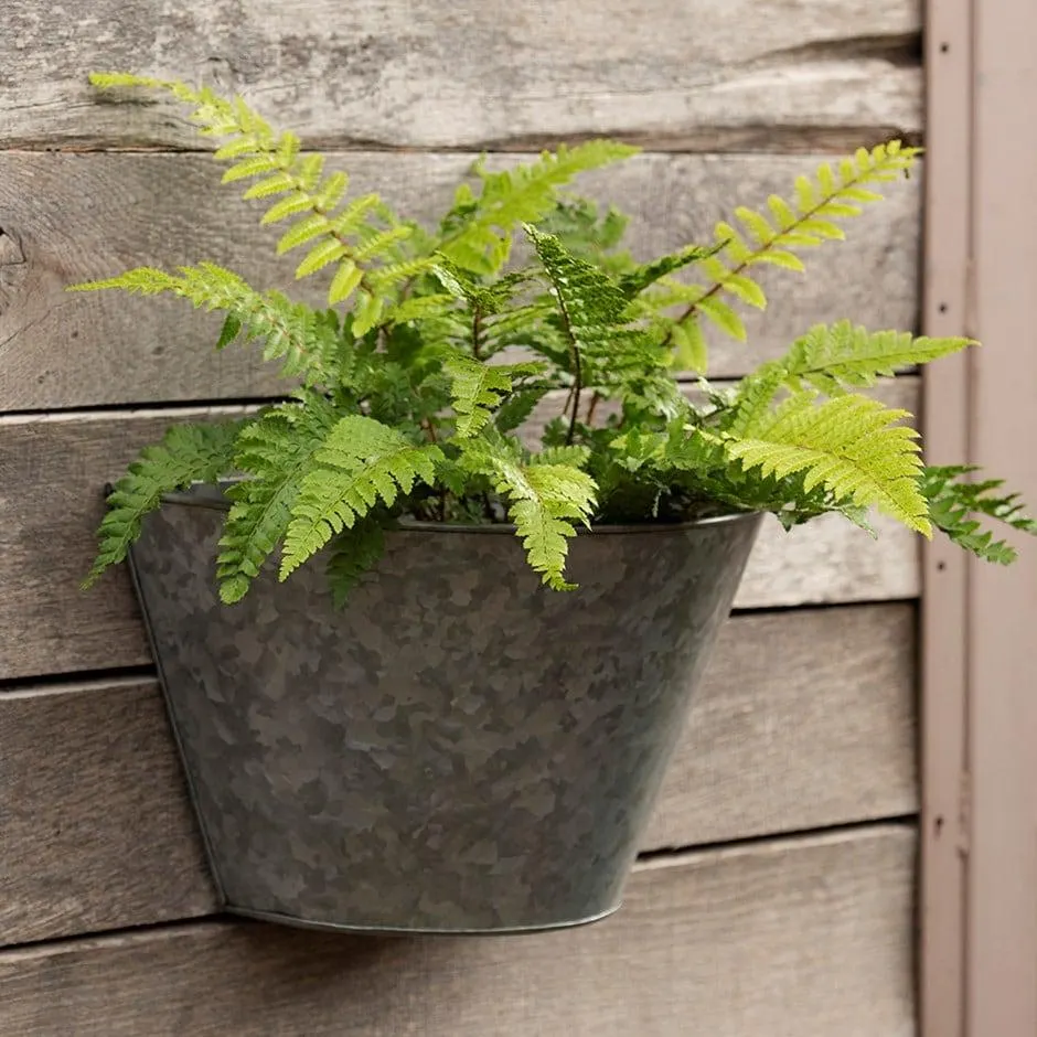 Galvanised wall planter