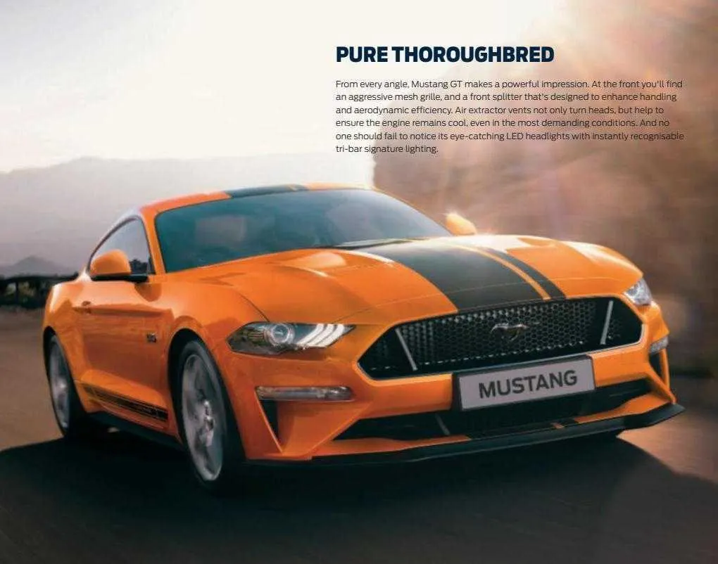 Ford Weekly Offers from 12 January to 29 February 2024 - Catalogue Page 17