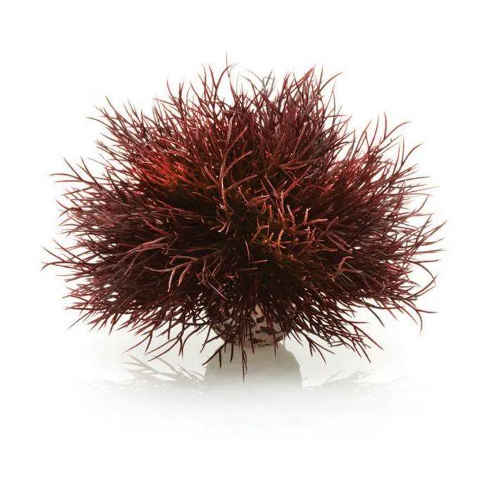 BiOrb Sea Lily Crimson