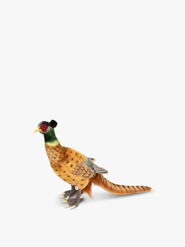 Pheasant