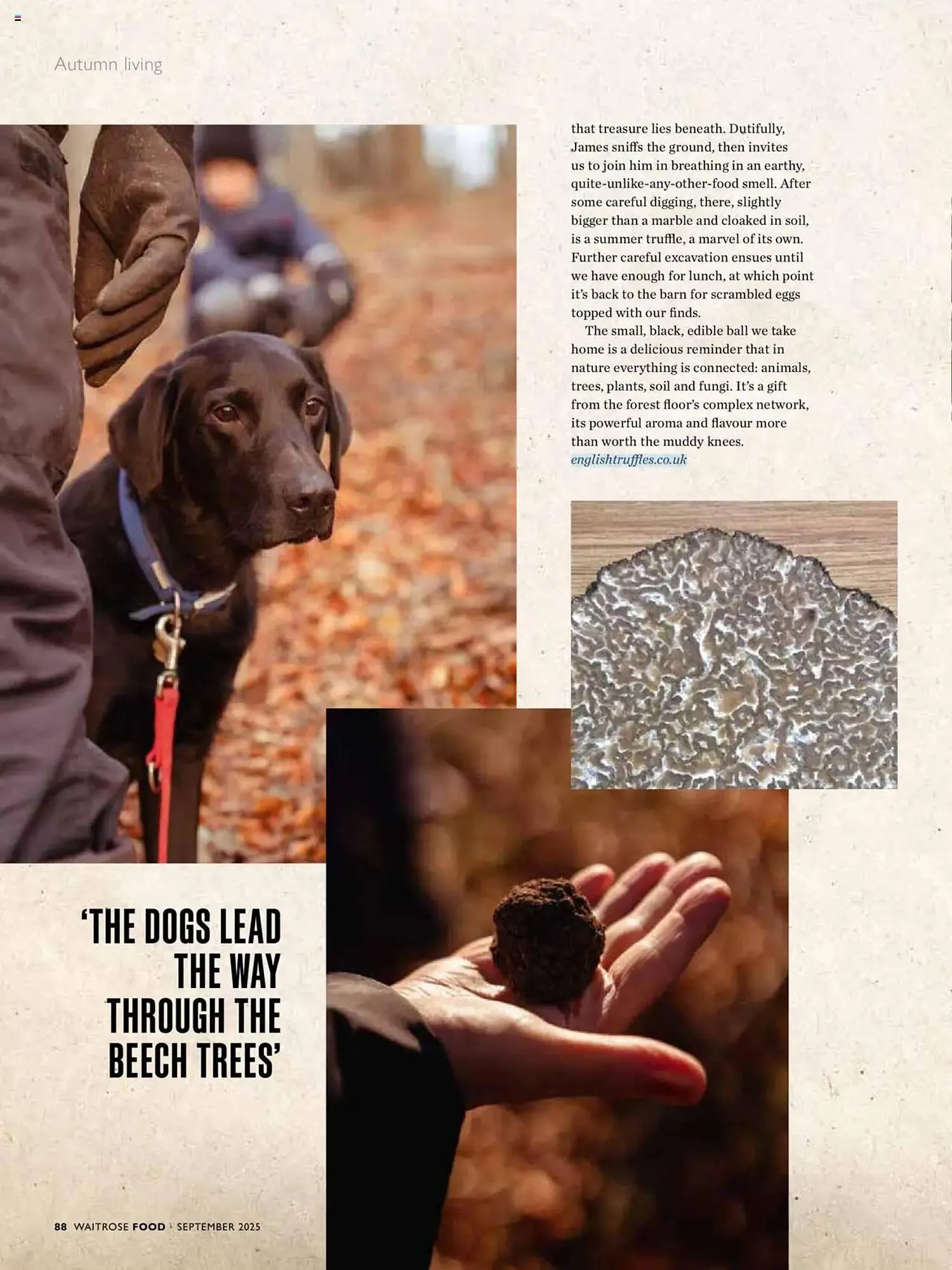 Waitrose leaflet from 1 September to 1 October 2025 - Catalogue Page 88