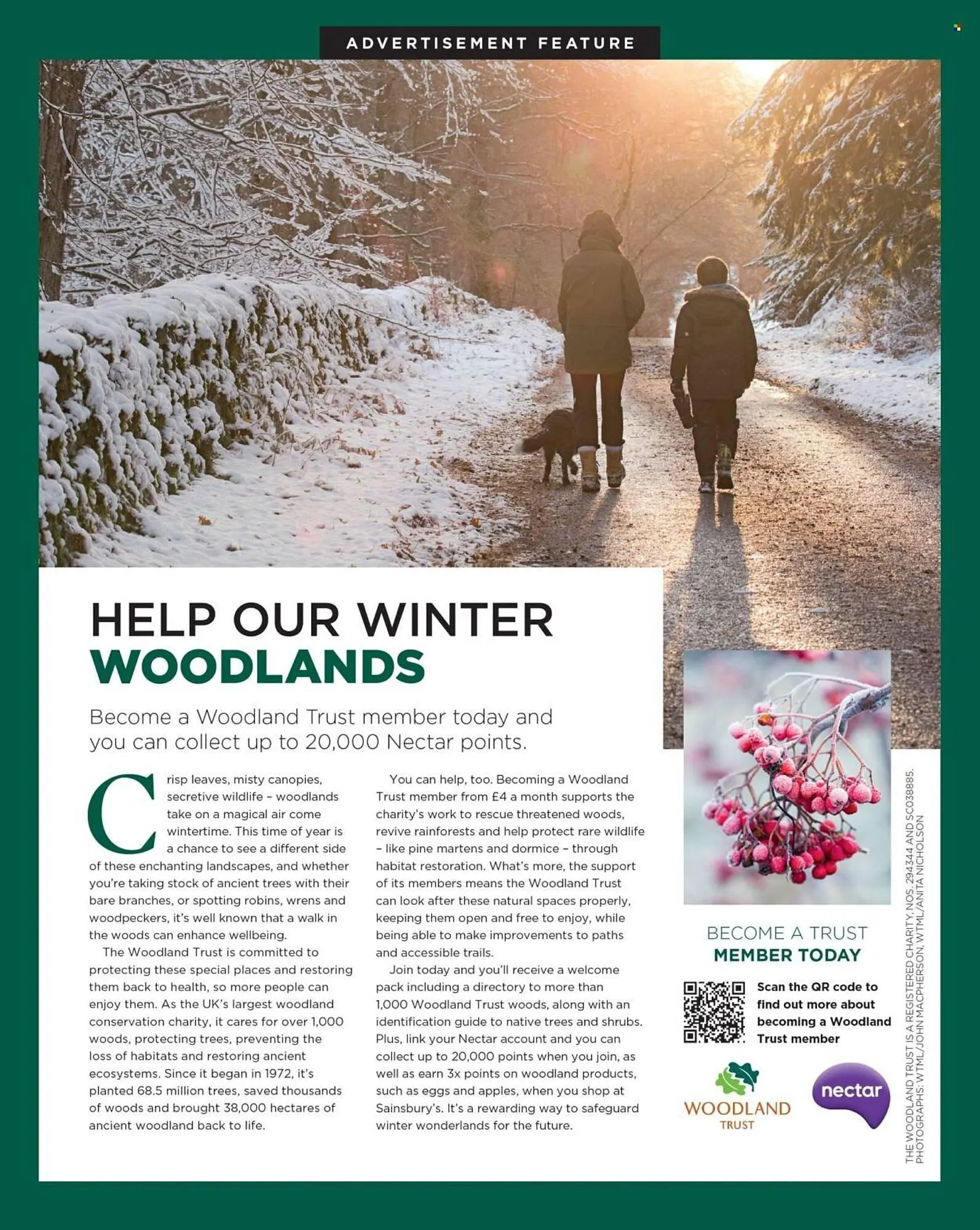 Sainsbury's leaflet from 5 February to 28 February 2026 - Catalogue Page 89