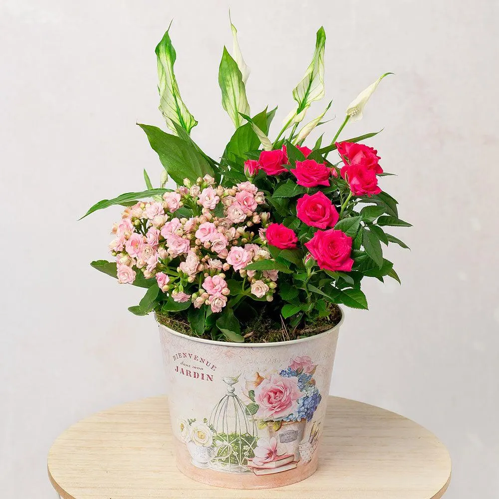 Pink Flower Planter