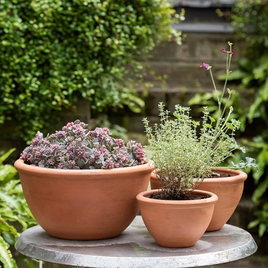 Terracotta plant bowls