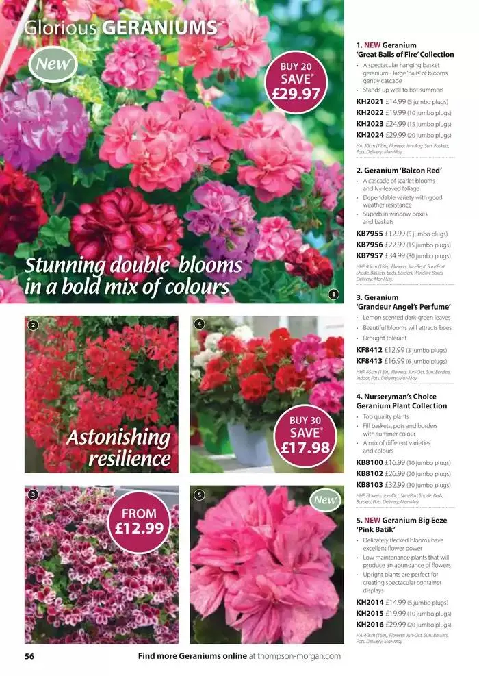 The Spring Catalogue from 20 March to 31 May 2025 - Catalogue Page 56