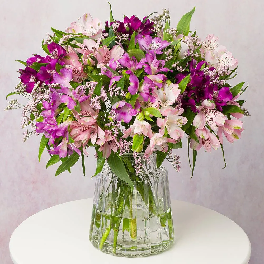 Amethyst Alstroemeria