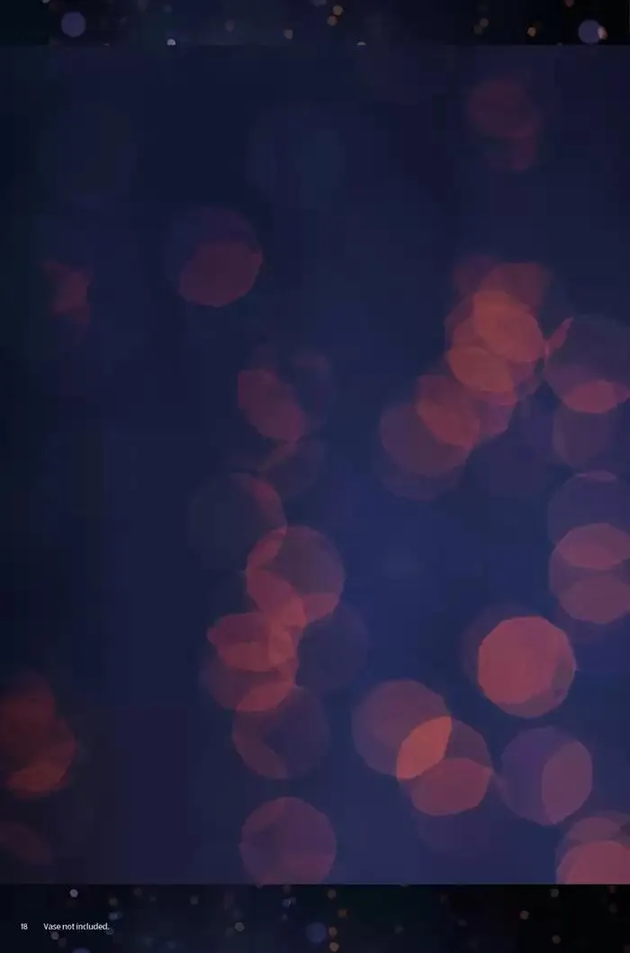 Aldi weekly offers from 1 February to 15 February 2025 - Catalogue Page 18