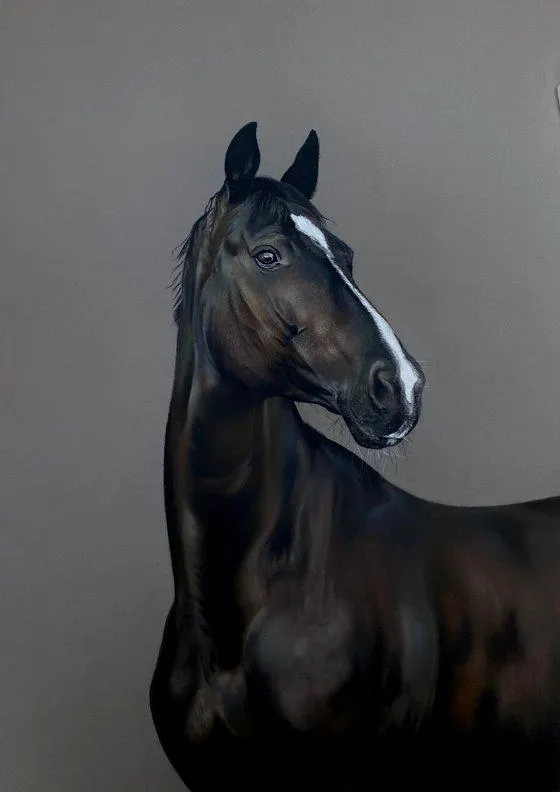Horse Study (2023)