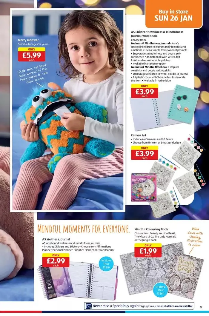 Current special promotions from 30 January to 13 February 2025 - Catalogue Page 17