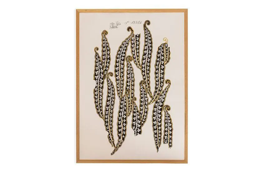 Magic Pods Print by Print Sisters