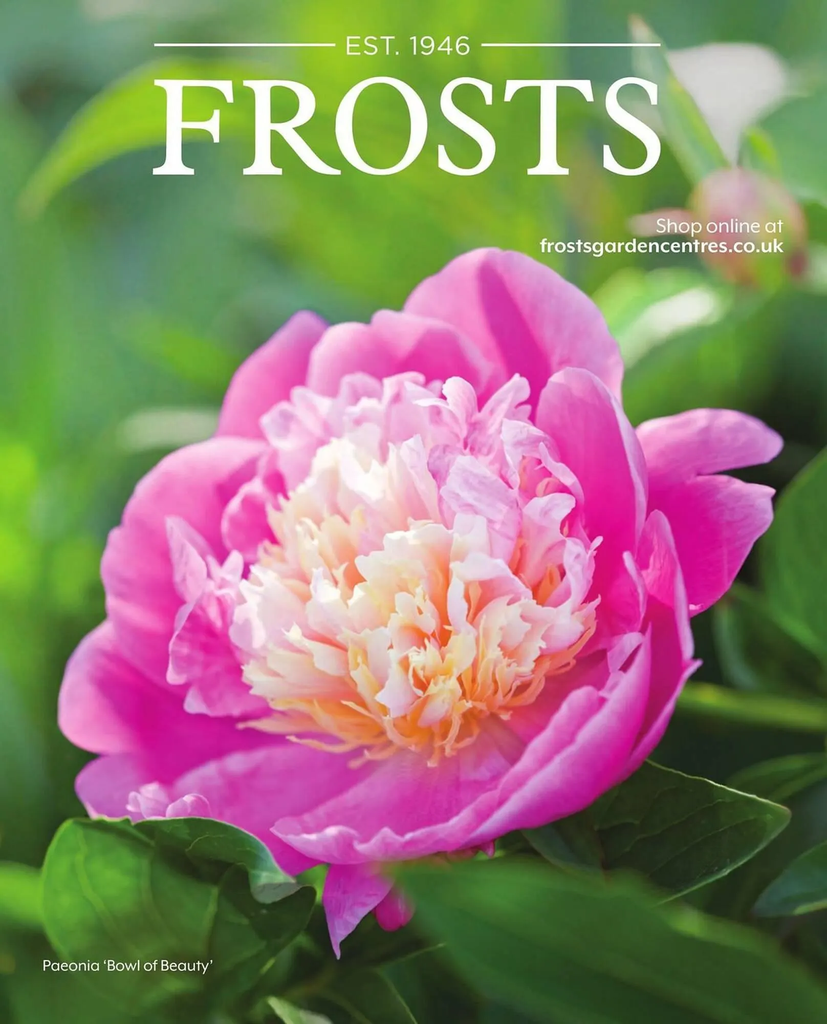 Frosts Garden Centres leaflet from 11 March to 31 May 2024 - Catalogue Page
