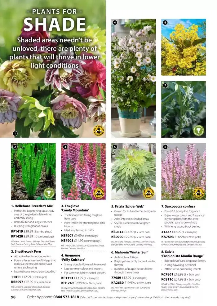 The Spring Catalogue from 20 March to 31 May 2025 - Catalogue Page 98
