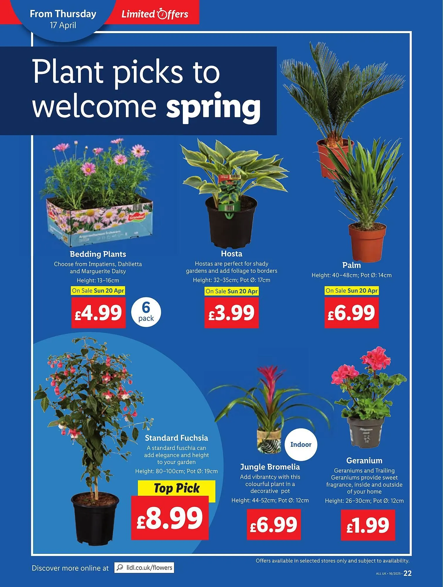 Lidl leaflet from 17 April to 23 April 2025 - Catalogue Page 22