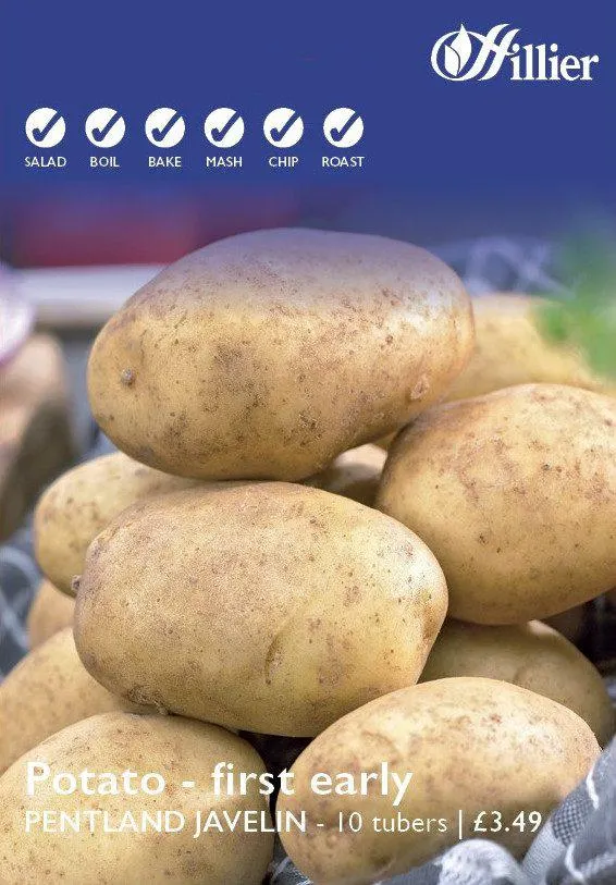 Pentland Javelin Seed Potatoes