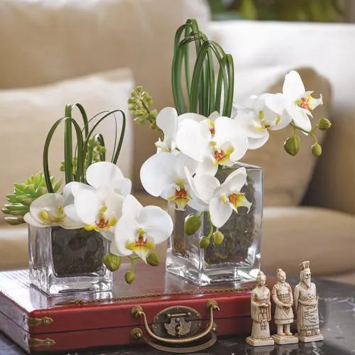 Large Orchid Ikebana in Glass Cube