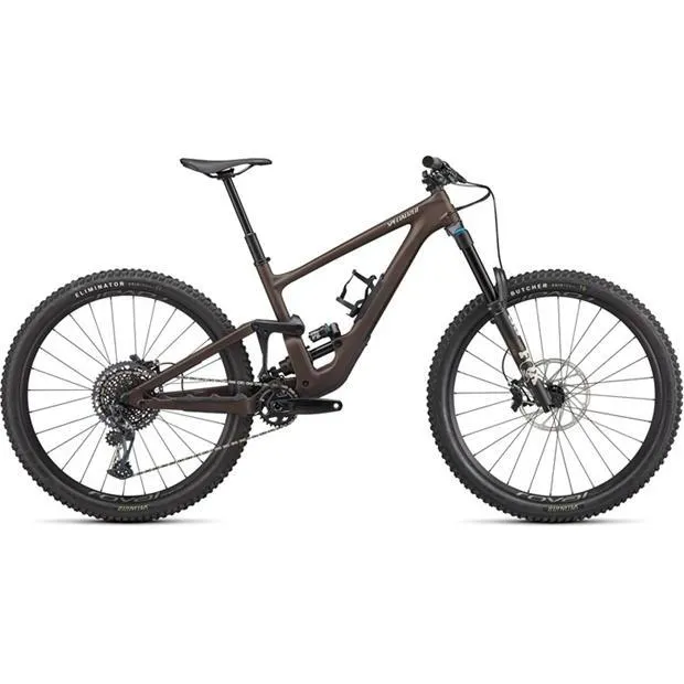 Enduro Expert 2022 Mountain Bike