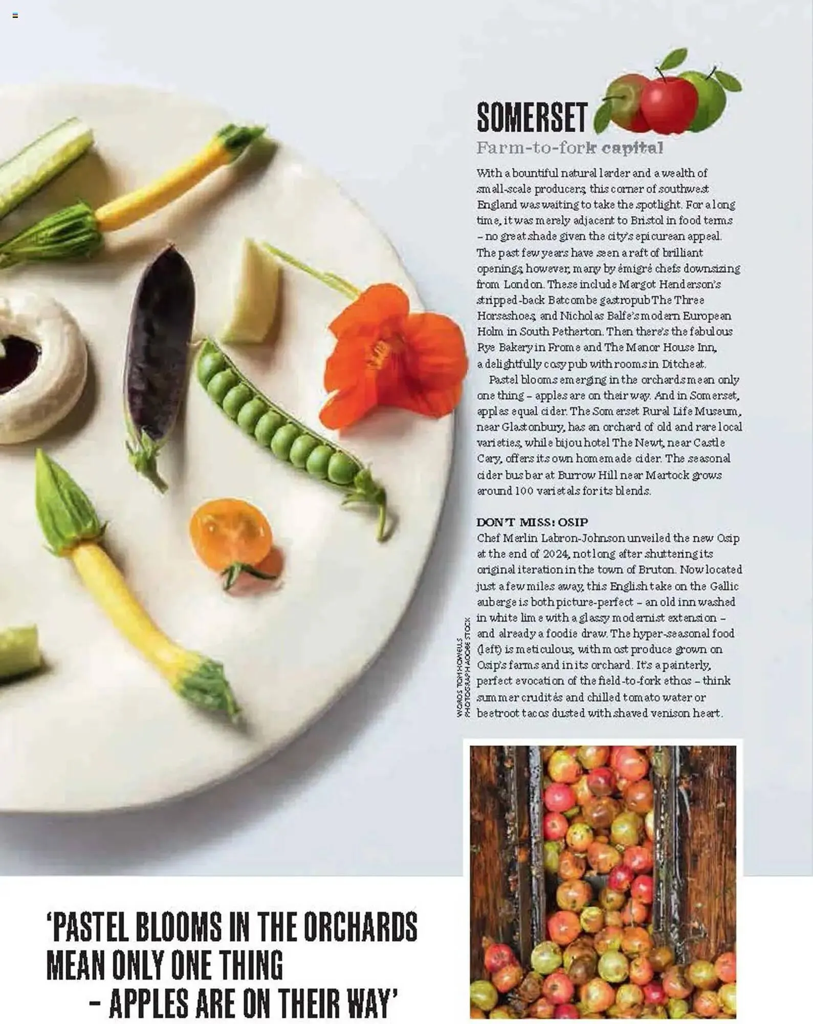 Waitrose leaflet from 1 May to 31 May 2025 - Catalogue Page 78