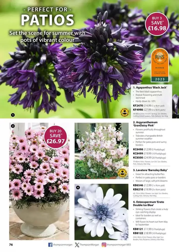 The Spring Catalogue from 20 March to 31 May 2025 - Catalogue Page 76