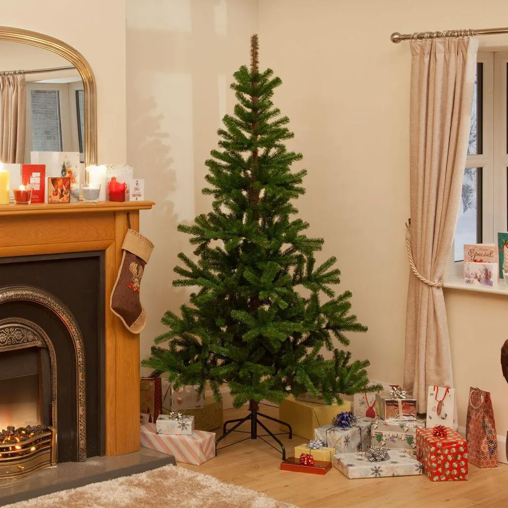 210cm Regina Spruce Tree With 712 Tips