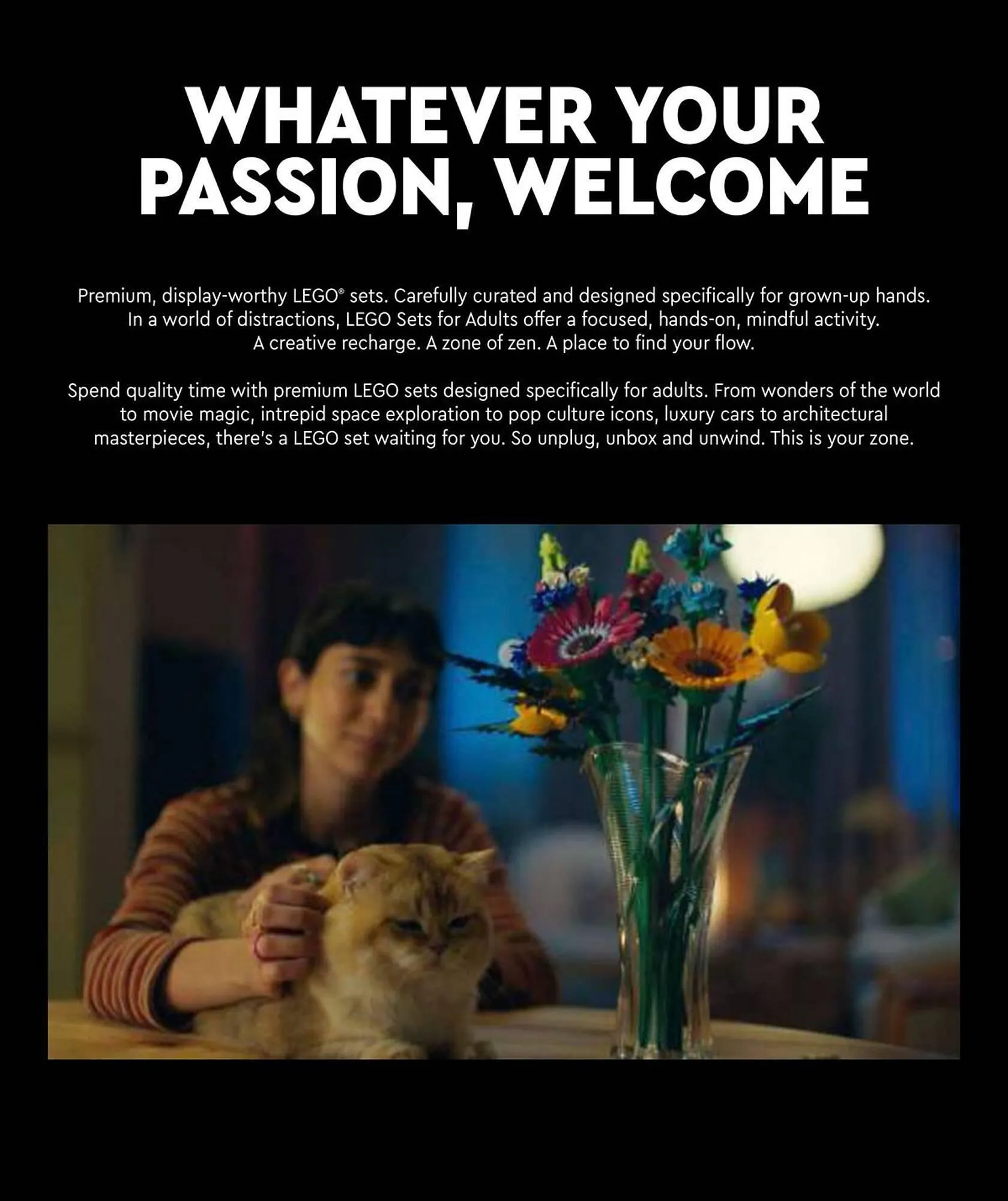 LEGO Shop leaflet from 5 January to 31 January 2024 - Catalogue Page 3