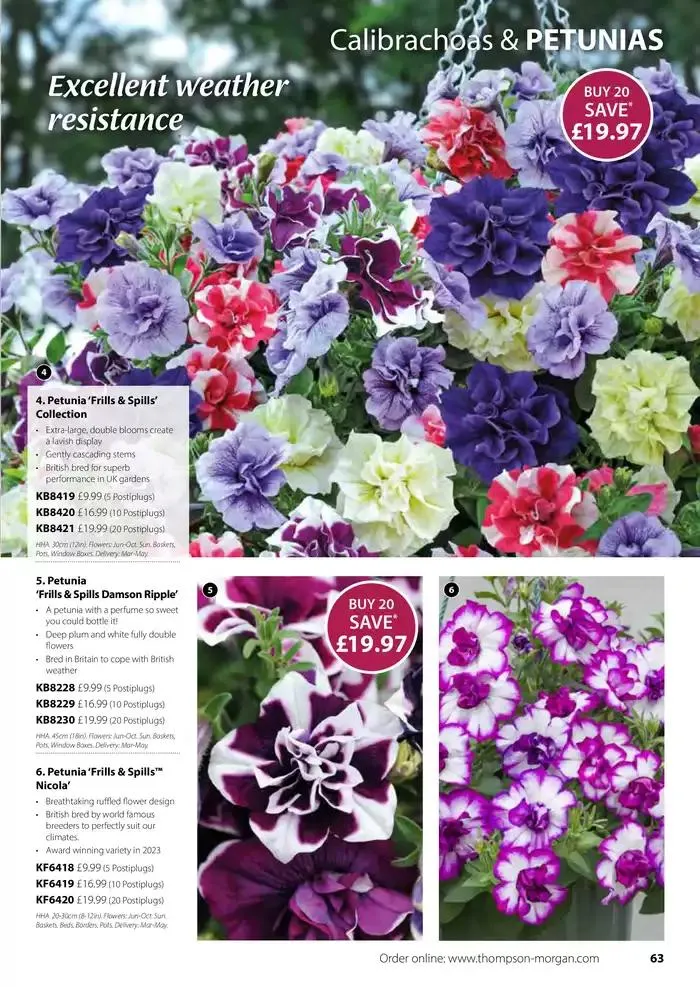 The Spring Catalogue from 20 March to 31 May 2025 - Catalogue Page 63