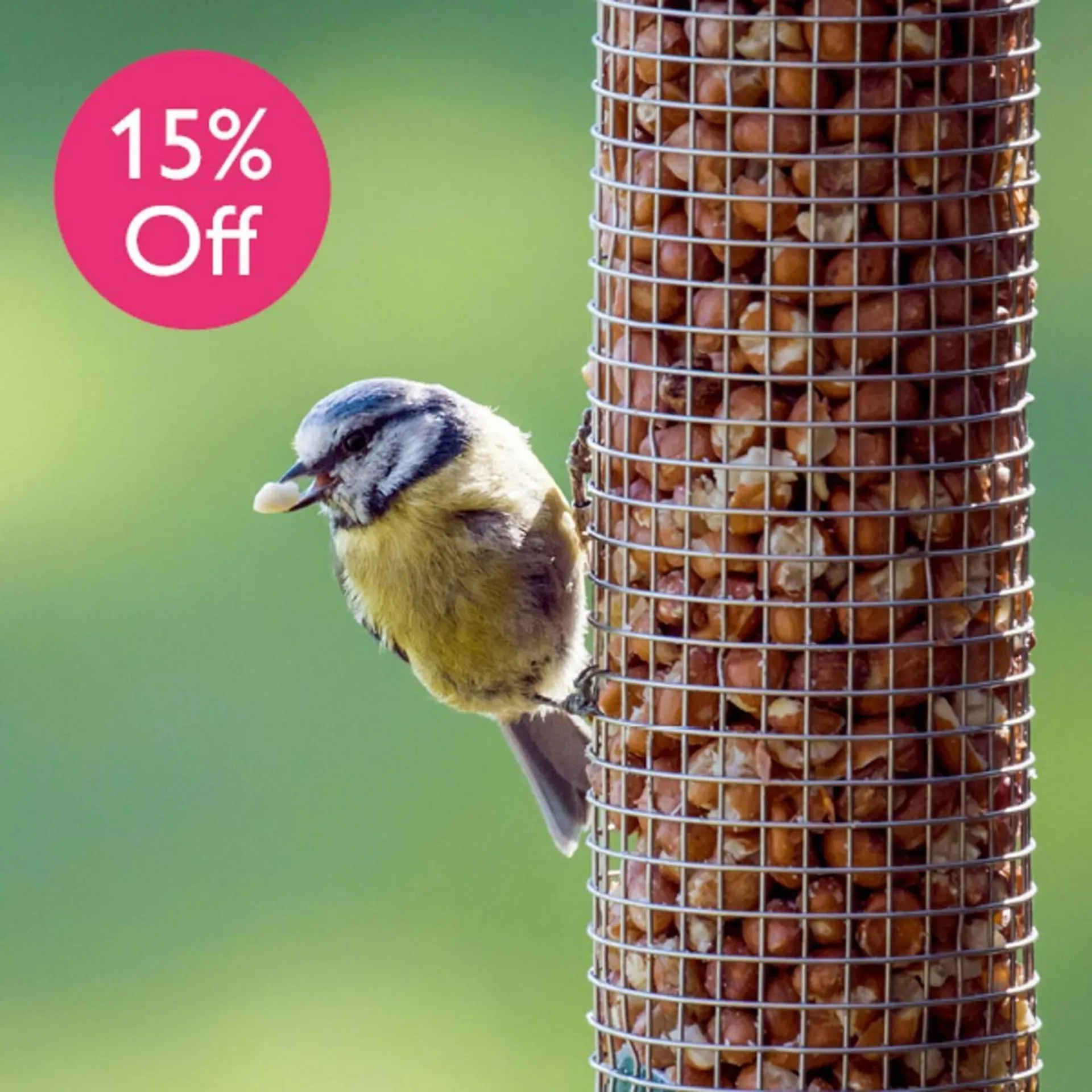 Squires Garden Centres leaflet from 12 January to 24 January 2026 - Catalogue Page 6