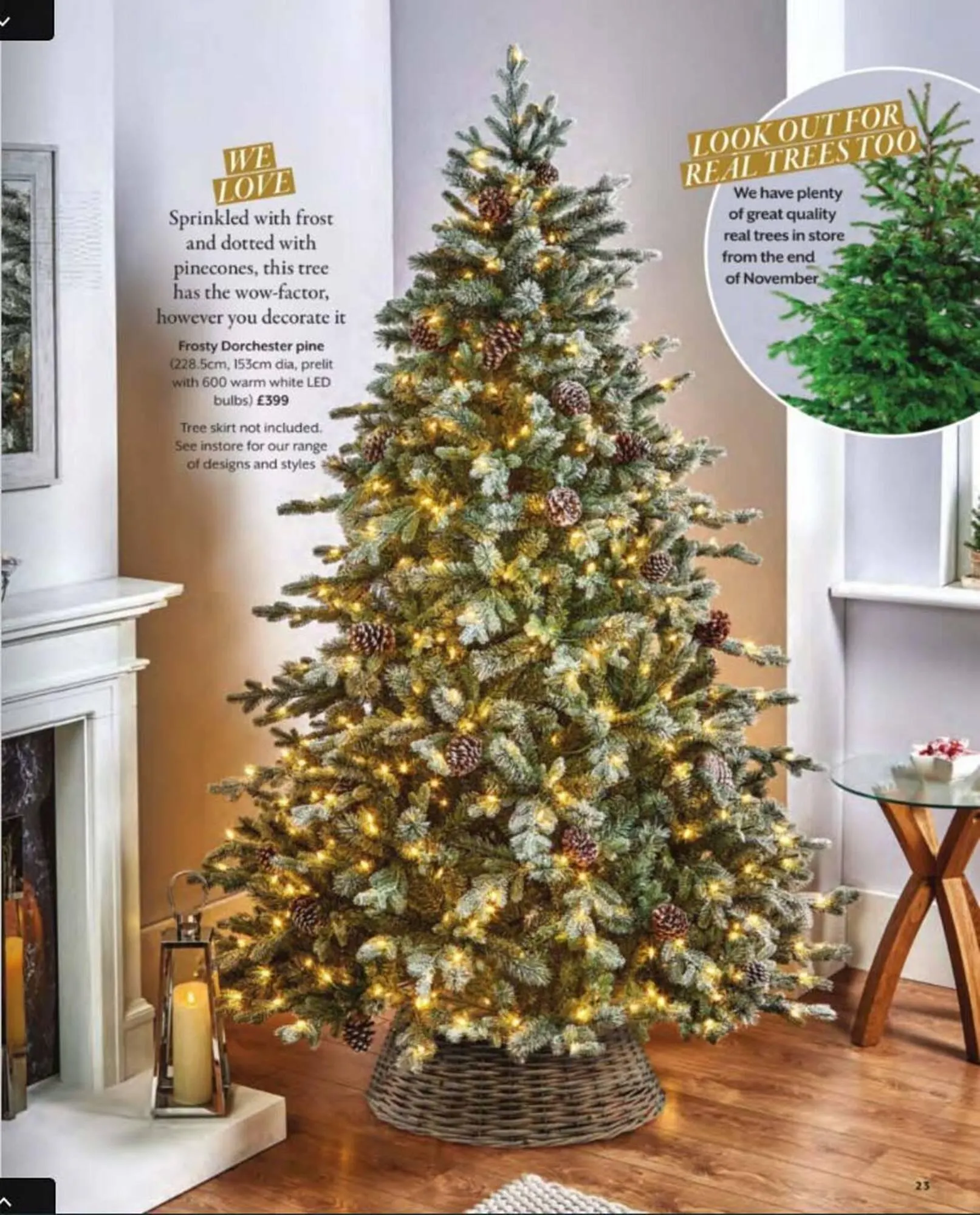 Squires Garden Centres leaflet from 24 October to 31 December 2025 - Catalogue Page 23