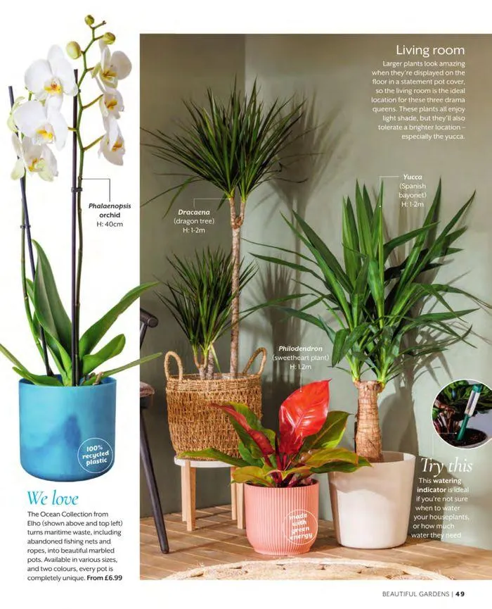 Spring 2024 from 11 March to 31 May 2024 - Catalogue Page 49