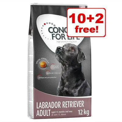 12kg Concept for Life Dry Dog Food - 10 + 2kg Free!*