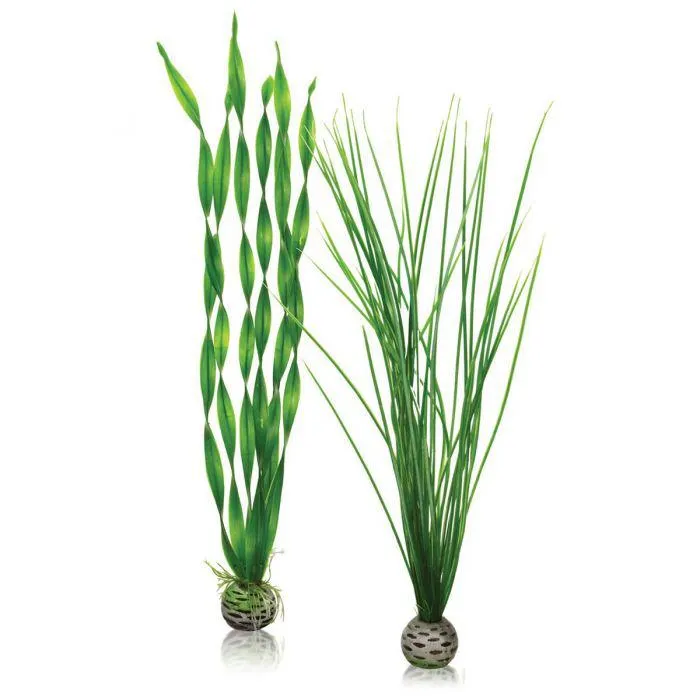 BiOrb Easy Plant Green X 2 Tall