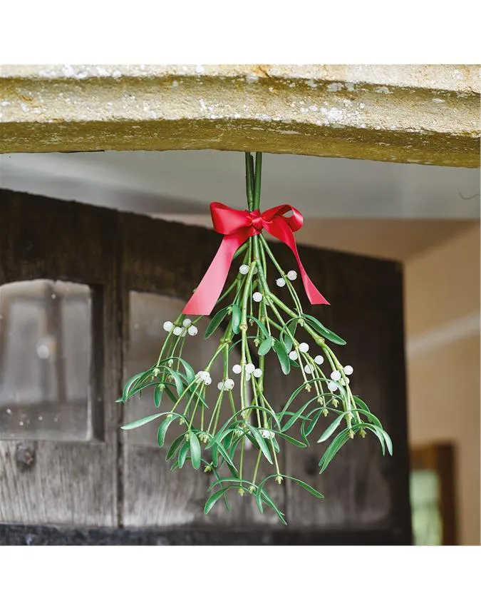 Hanging Sprigs of Mistletoe