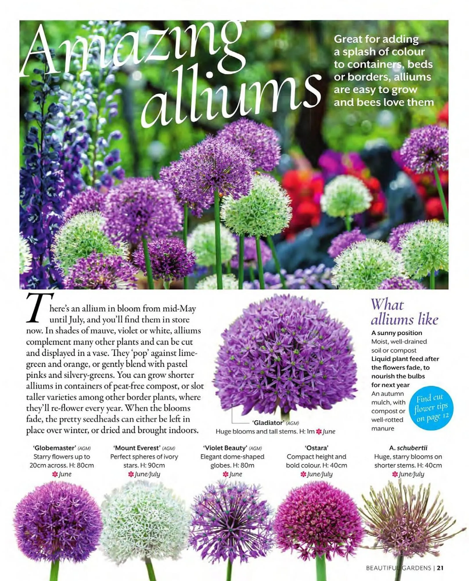 Squires Garden Centres leaflet from 1 March to 31 May 2024 - Catalogue Page 21