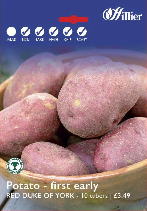 Red Duke Of York Seed Potatoes