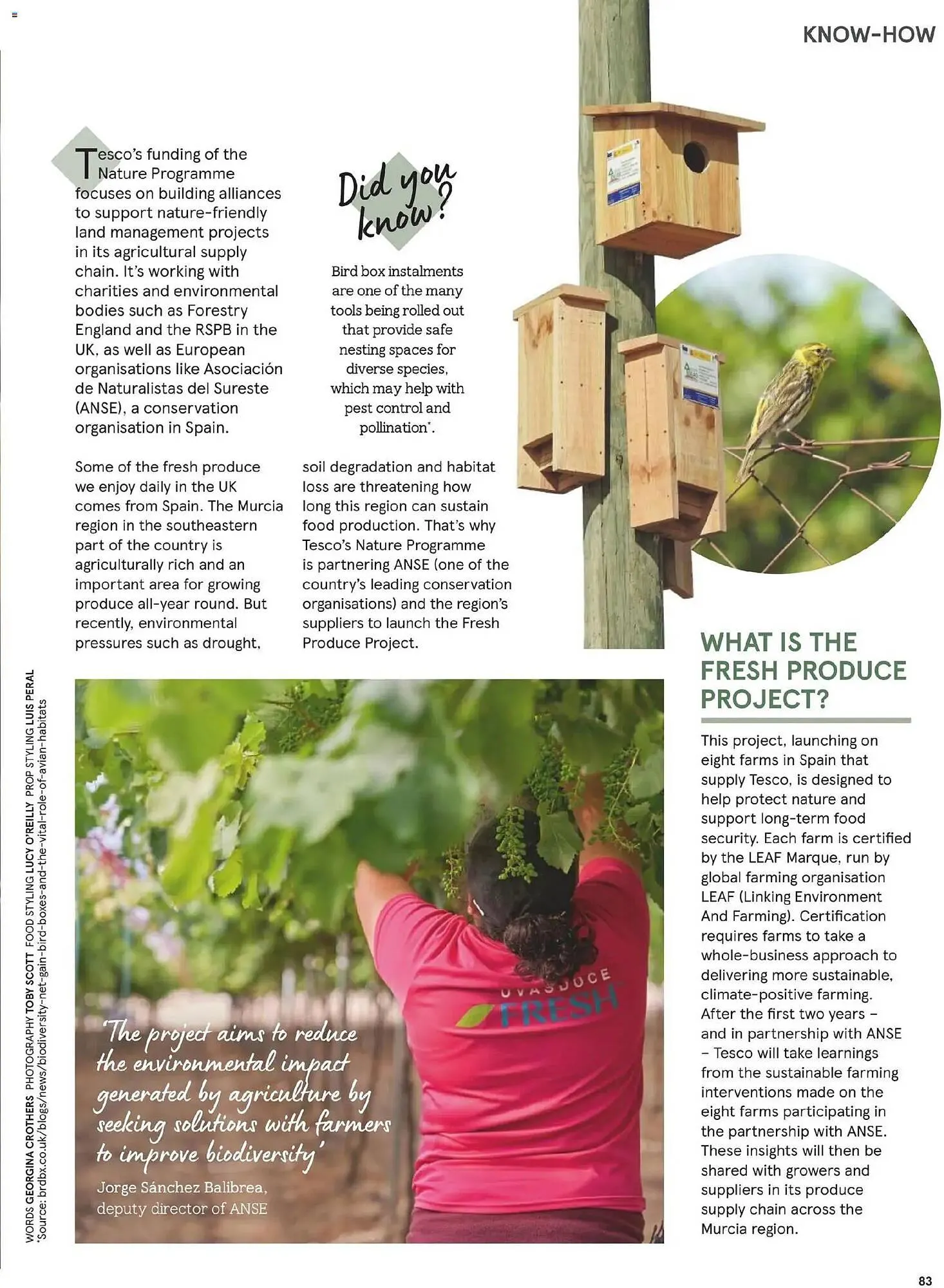 Tesco leaflet from 1 November to 30 November 2025 - Catalogue Page 83