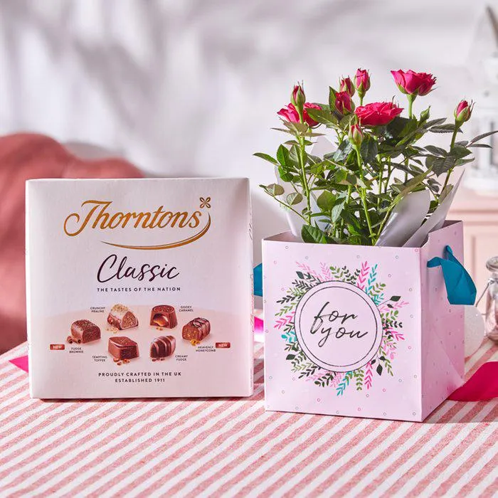 The Rose Plant Gift Bag With Chocolates