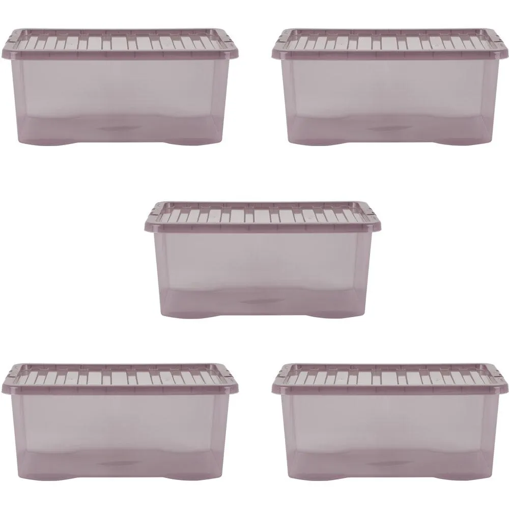 Wham Tint Pink 45L Crystal Box and Lid Set of 5