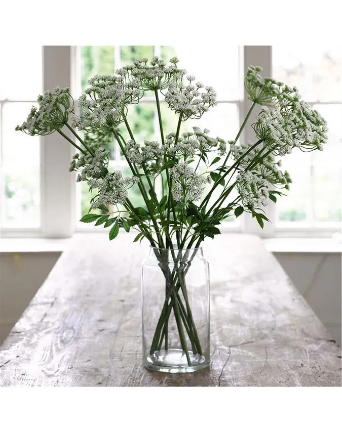 Cow Parsley Bouquet